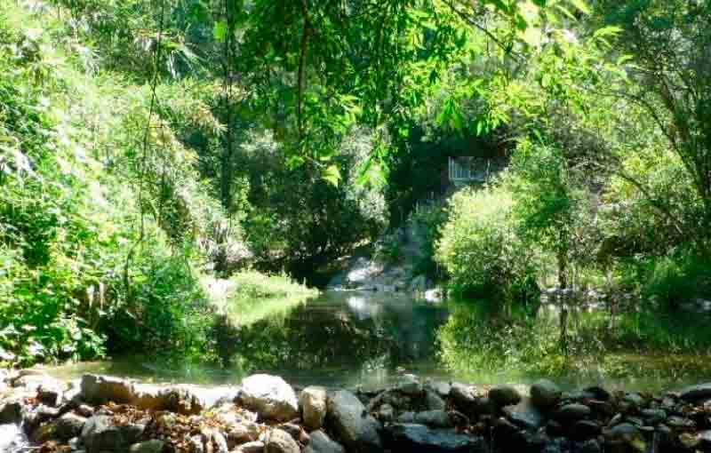PASARELAS-RIO-GENAL-VISIT-GAUCIN-QUE-HACER