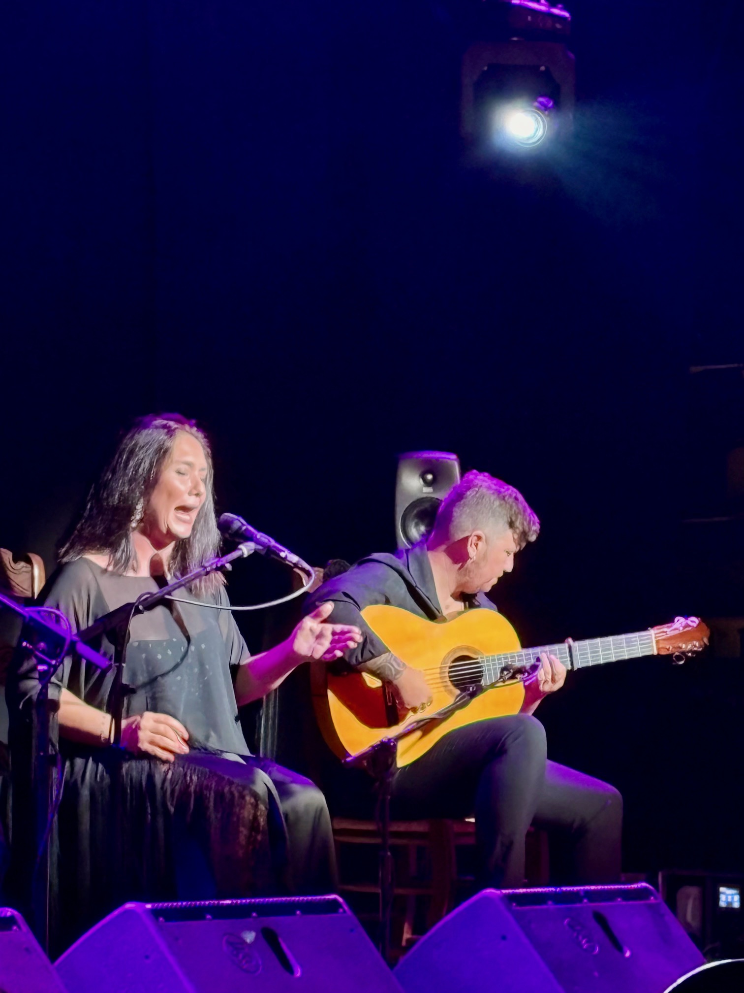 Festival flamenco 1
