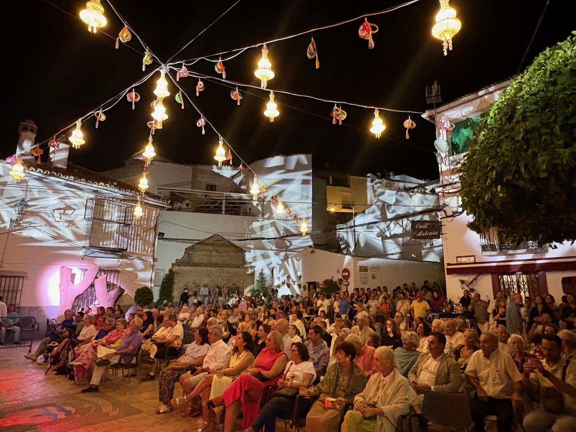 Festival flamenco 3