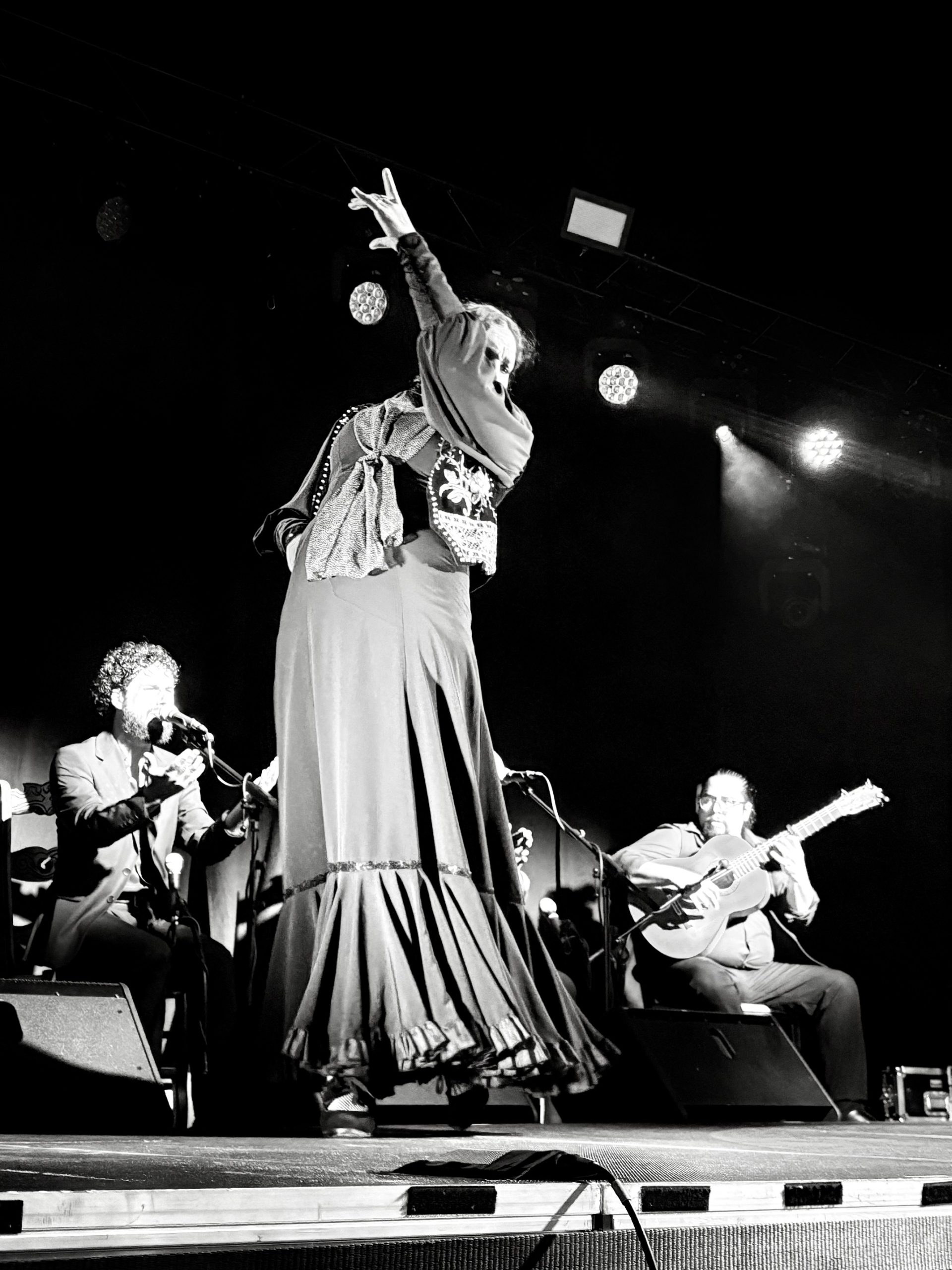 Festival flamenco 6